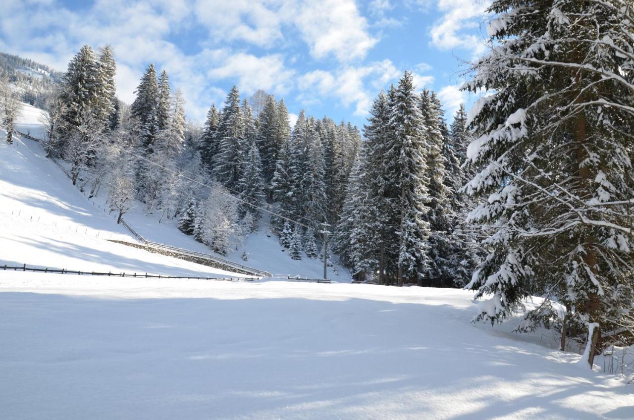 Haus Am Sunnfeld Leilighet Alpbach Eksteriør bilde
